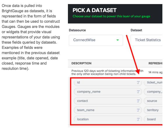 BrightGauge_pick a dataset