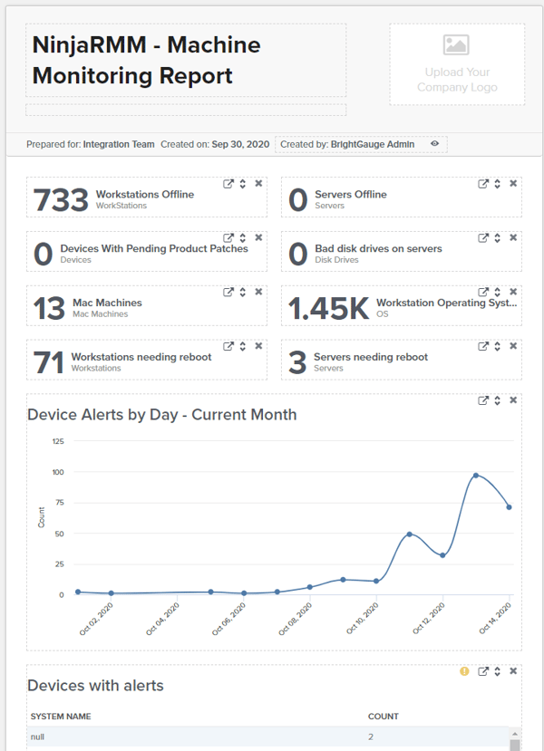 Sample NinjaRMM report in BrightGauge 