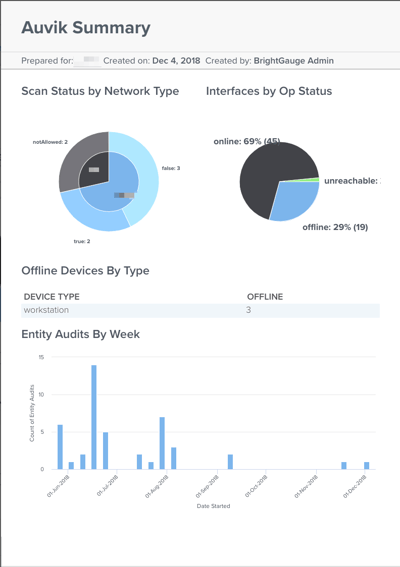 auvik report