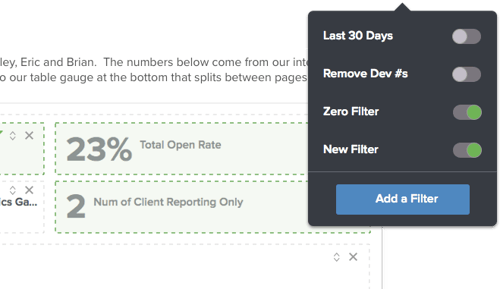 toggle-brightgauge-report-filter