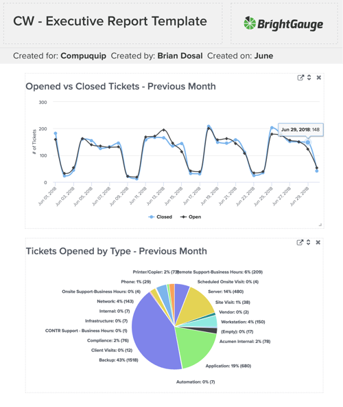 BrightGauge ConnectWise Report