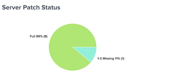 BrightGauge Client Reporting _ server patch status gauge